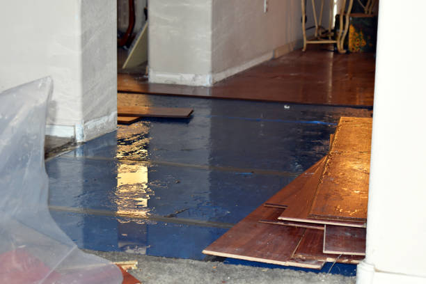 Professional Basement Flood Cleanup technician working in Georgetown, IN